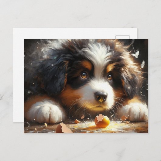 Schattige Berner Sennenhond Puppy Broken Egg Briefkaart (Voorkant / Achterkant)