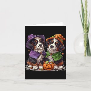 Schattige Berner Sennenhonden Heks Pompoen Hallowe Kaart