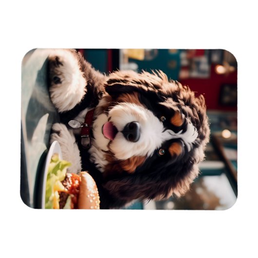 Schattige Bernerdoodle bij het Diner Magneet (Horizontaal)
