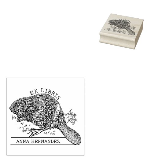 Schattige Bever, Ex Libris Bibliotheek Boek Rubberstempel (Gestempeld)