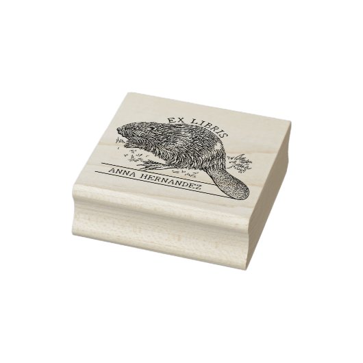 Schattige Bever, Ex Libris Bibliotheek Boek Rubberstempel (Stempel)