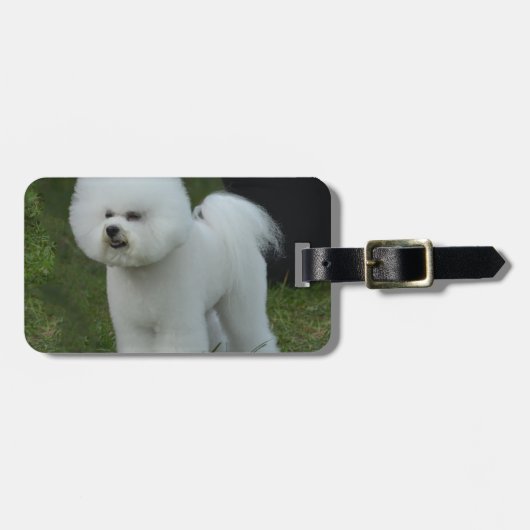 Schattige Bichon Bagagelabel (Voorkant horizontaal)