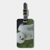 Schattige Bichon Bagagelabel (Voorkant verticaal)