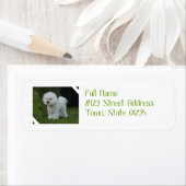 Schattige Bichon Etiket (Insitu)