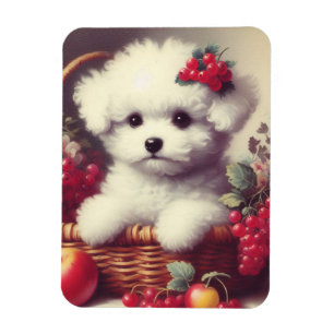 Schattige Bichon Frisé Schilderij Magneet
