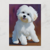 Schattige Bichon Havanese Puppy Waterverf Briefkaart (Voorkant)