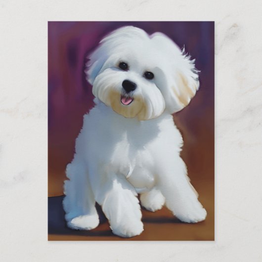 Schattige Bichon Havanese Puppy Waterverf Briefkaart (Voorkant)