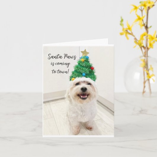 Schattige Bichon Maltese kerstkaart Santa Paws Kaart (Gele Bloem)