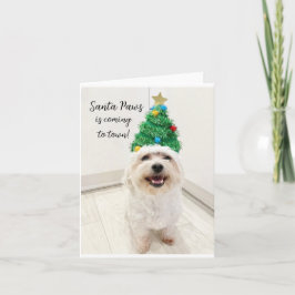 Schattige Bichon Maltese Kerstkaart Santa Paws Kaart