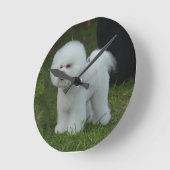 Schattige Bichon Ronde Klok (Hoek)
