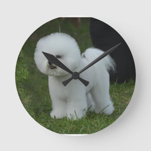 Schattige Bichon Ronde Klok (Voorkant)