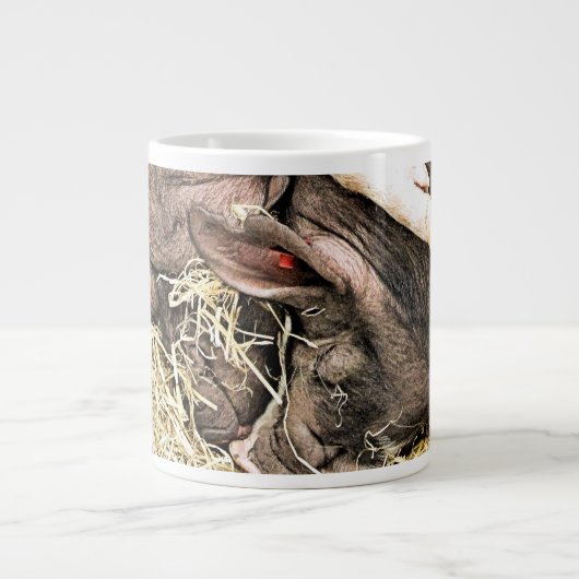 SCHATTIGE BIGGETJES GROTE KOFFIEKOP (Voorkant)
