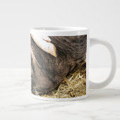 SCHATTIGE BIGGETJES GROTE KOFFIEKOP (Rechts)