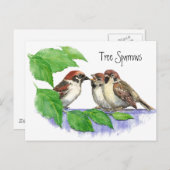 Schattige Bird, Sparrow Family Briefkaart (Voorkant / Achterkant)
