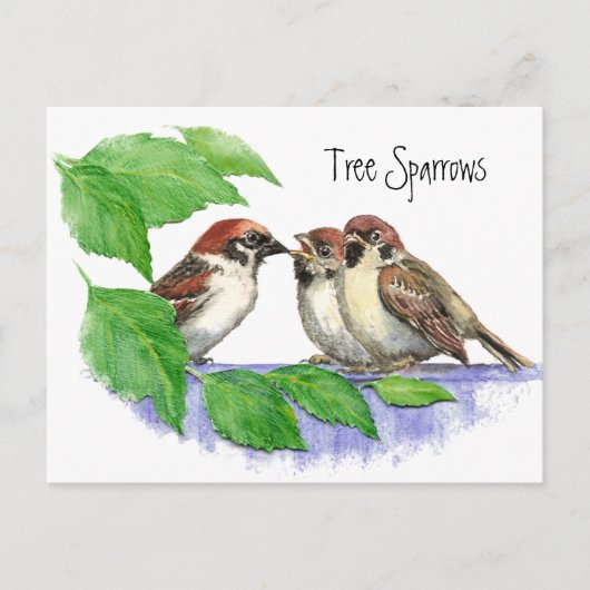 Schattige Bird, Sparrow Family Briefkaart (Voorkant)