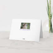 Schattige Birthday Kitten in de tuin! Kaart (Achterkant)