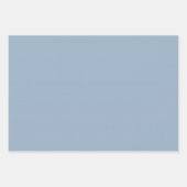 Schattige blauw gingham en stippen eenvoudige klas inpakpapier vel (Voorkant 2)