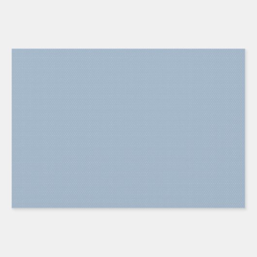 Schattige blauw gingham en stippen eenvoudige klas inpakpapier vel (Voorkant 2)