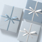 Schattige blauw gingham en stippen eenvoudige klas