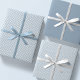 Schattige blauw gingham en stippen eenvoudige klas