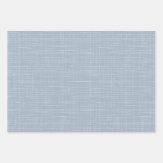 Schattige blauw gingham en stippen eenvoudige klas inpakpapier vel (Voorkant 2)