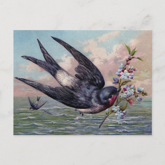 Schattige blauw rood zwaluwvogel en  bloemen briefkaart (Voorkant)