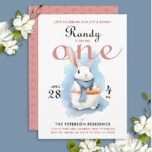 Schattige Blauw Roze Witte Bunny Eerste Bday Water