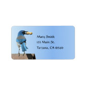 Schattige Blauw Scrub Jay Bird met Pinda Label (Voorkant)