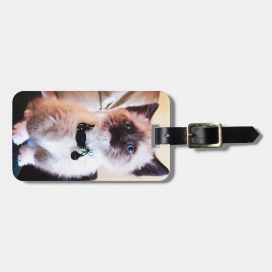 Schattige blauwe gelaatsmasker keukenfoto bagagelabel (Voorkant horizontaal)