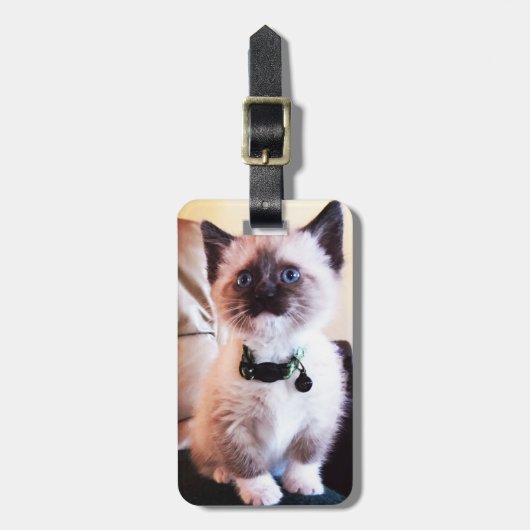 Schattige blauwe gelaatsmasker keukenfoto bagagelabel (Voorkant verticaal)