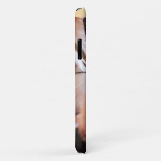 Schattige blauwe gelaatsmasker keukenfoto Case-Mate iPhone case (Achterkant/rechts)