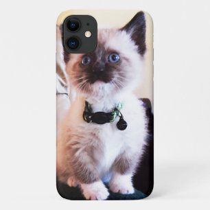Schattige blauwe gelaatsmasker keukenfoto Case-Mate iPhone case