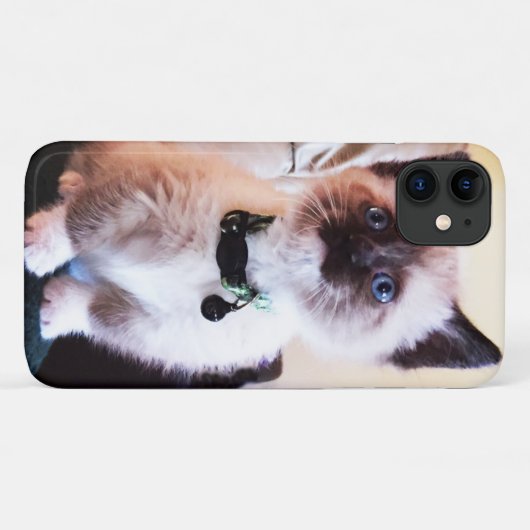 Schattige blauwe gelaatsmasker keukenfoto Case-Mate iPhone case (Achterkant (horizontaal))