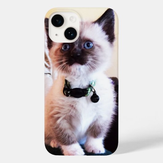 Schattige blauwe gelaatsmasker keukenfoto Case-Mate iPhone case (Achterkant)