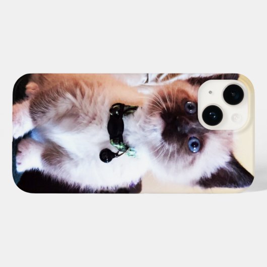 Schattige blauwe gelaatsmasker keukenfoto Case-Mate iPhone case (Achterkant (horizontaal))