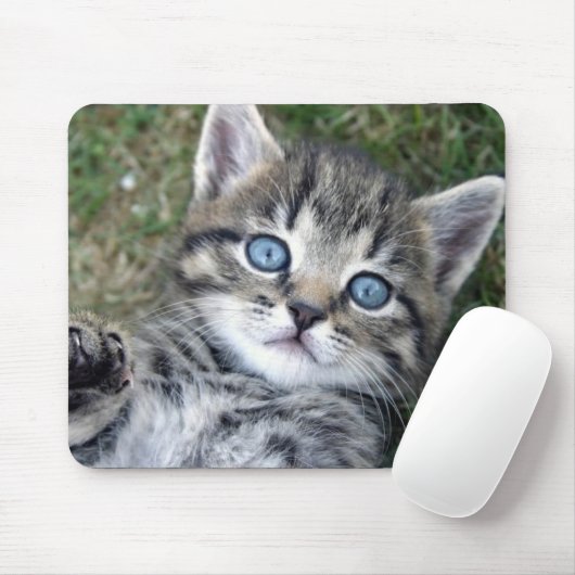 Schattige blauwe-oyed Silver Tabby Kitten Mousepad Muismat (Met muis)