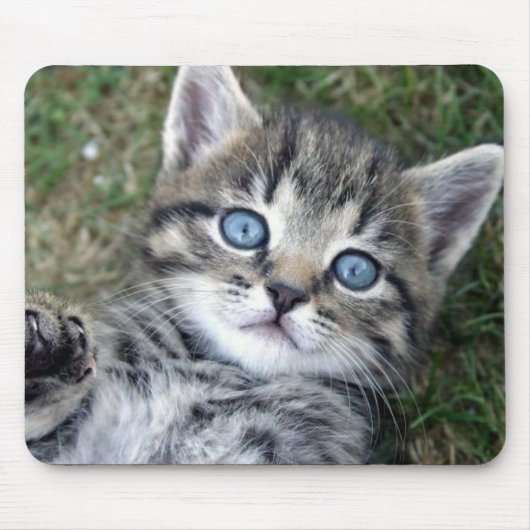 Schattige blauwe-oyed Silver Tabby Kitten Mousepad Muismat (Voorkant)