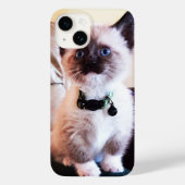 Schattige blauwgroene siamese keukenfoto Case-Mate iPhone case (Achterkant)