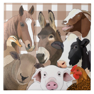 Schattige Boerderij Dierenportret Gingham Check -  Tegeltje