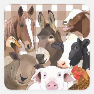Schattige Boerderij Dierenportret Gingham Check -  Vierkante Sticker