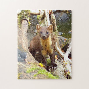 Schattige boommarter op boomstam Boslandleven Legpuzzel