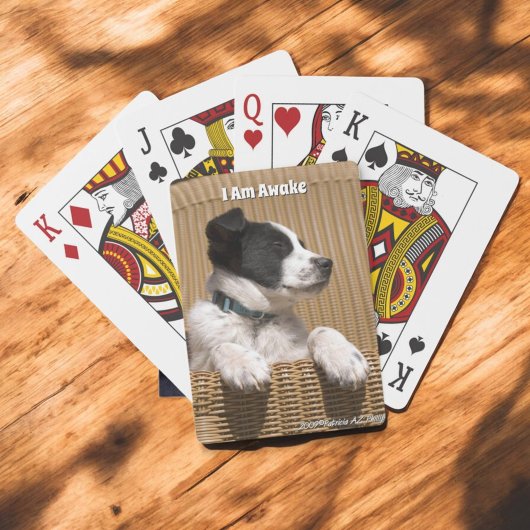 Schattige Border Collie Heeler Sleepy Puppy Pokerkaarten