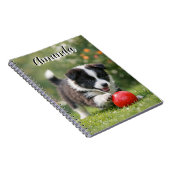 Schattige Border Collie met Rode Bal Notitieboek (Rechterzijde)