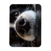 Schattige Border Collie Neus Close-up Magneet (Verticaal)