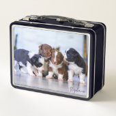 Schattige Border Collie Puppies (Achterkant)