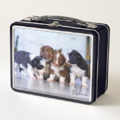 Schattige Border Collie Puppies (Voorkant)
