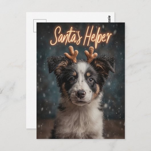 Schattige Border Collie Puppy als Santa's Helper Briefkaart (Voorkant / Achterkant)