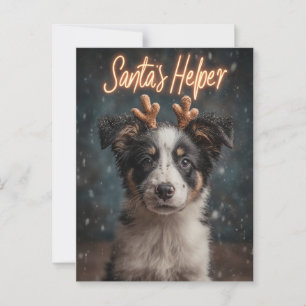 Schattige Border Collie Puppy als Santa's Helper Briefkaart