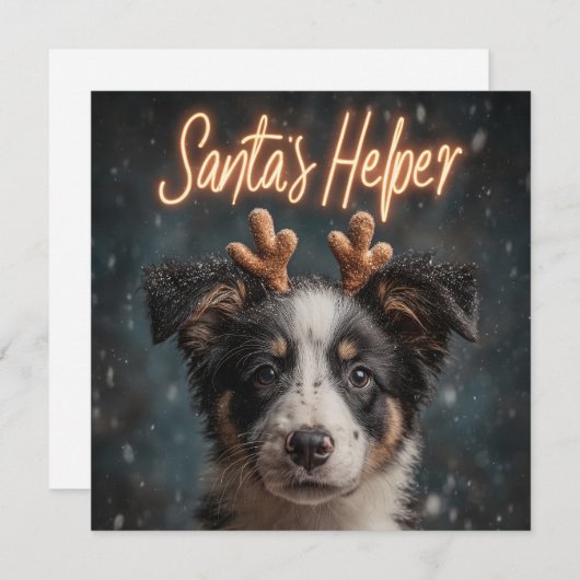 Schattige Border Collie Puppy als Santa's Helper Feestdagenkaart (Voorkant / Achterkant)