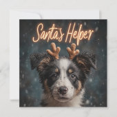 Schattige Border Collie Puppy als Santa's Helper Feestdagenkaart (Voorkant)